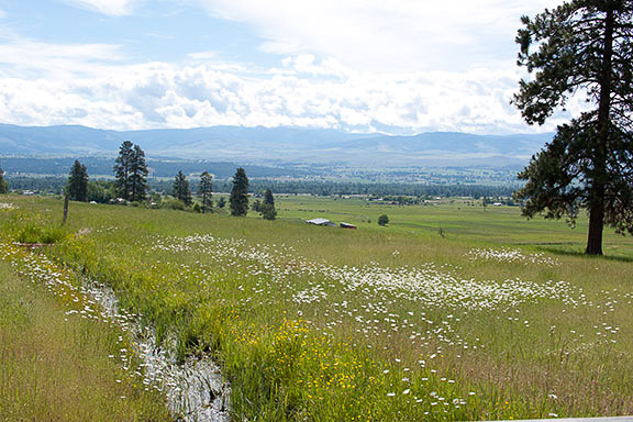 Landscape