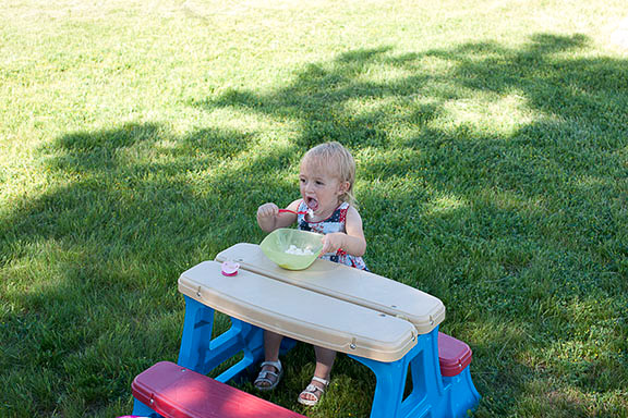 Girl's 3rd Birthday Party
