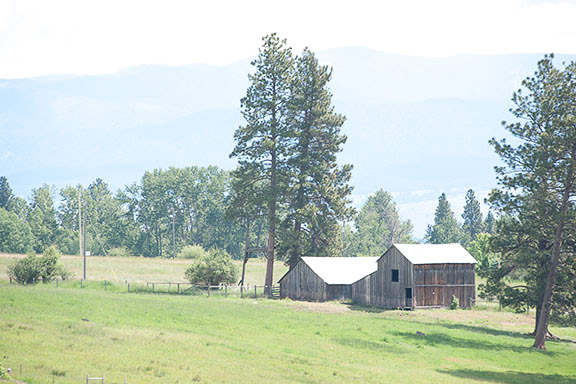 Barn